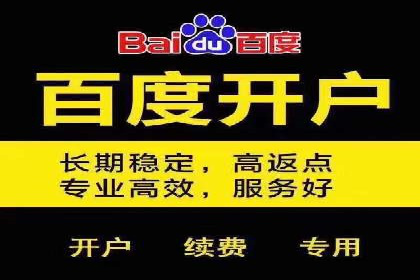 SEM服务公司助力企业市场份额提升案例